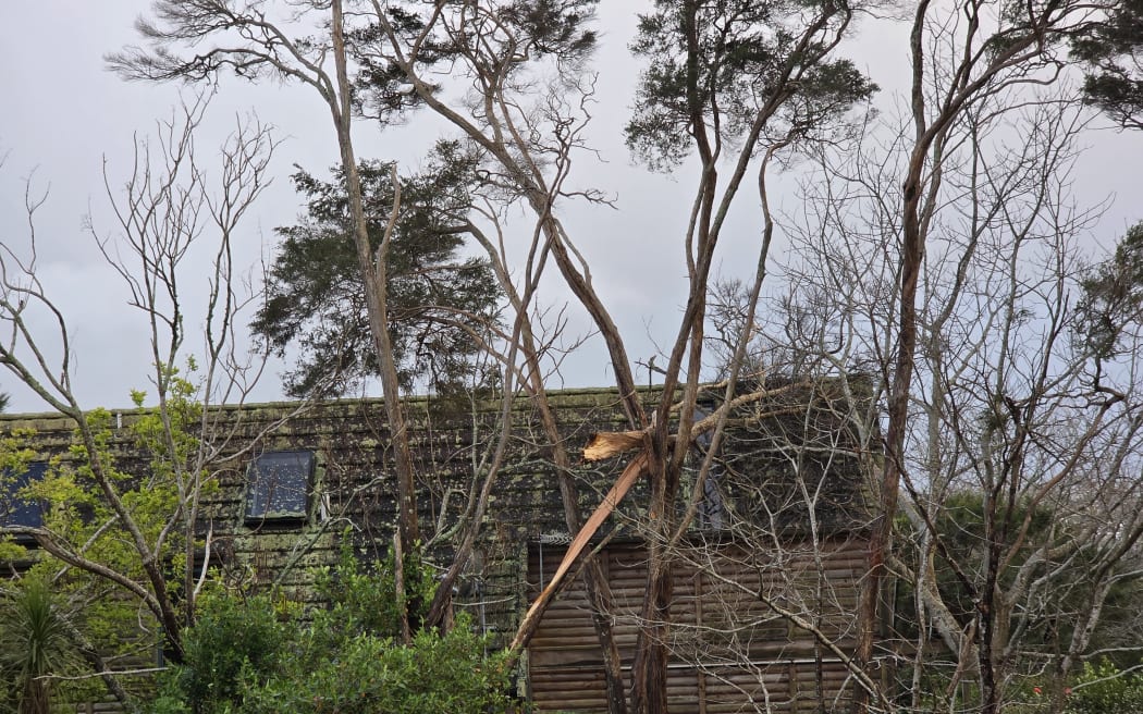 A tree had fallen onto the roof of a home in West Auckland's Massey overnight.