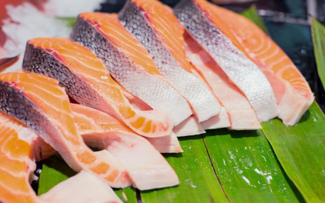 Salmon