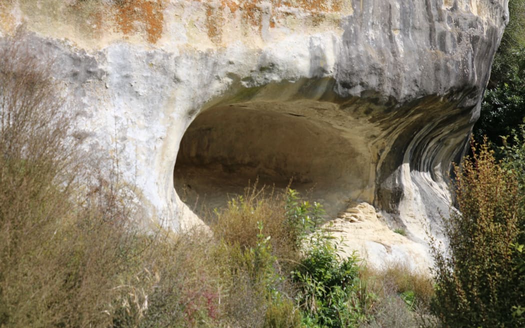 A cave in Taniwha Gully