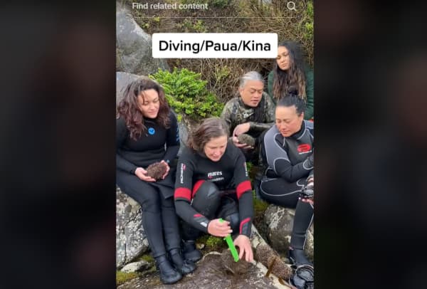 TikTok star Terressa Kollat shows a group of visitors from around New Zealand how to dive for and open a kina, in Southland. (Screenshot from TikTok video posted in 2022)