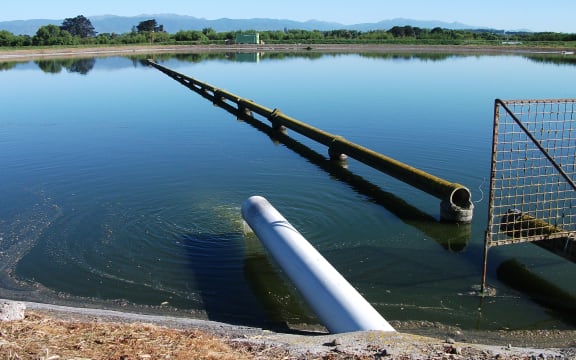A water treatment pond in South Wairarapa