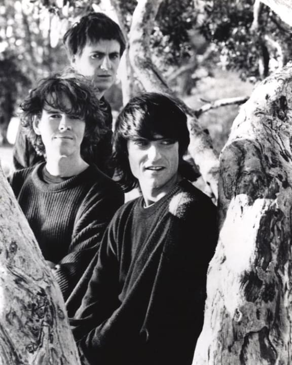 The Verlaines