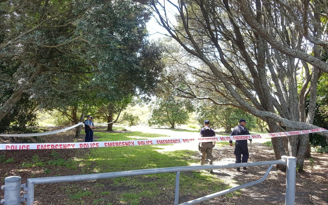 The area at the park on Mona Ave in Mangere Bridge where a baby's body was found.