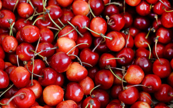 cherries