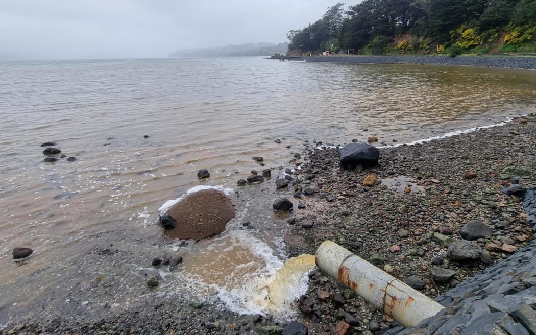 The rain was falling again on Saturday at Macandrew Bay.