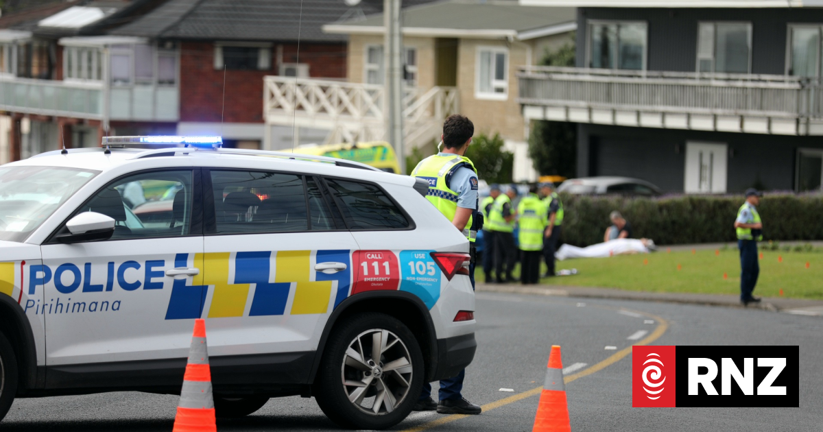 Car crashes into hedge in Auckland's Stanmore Bay