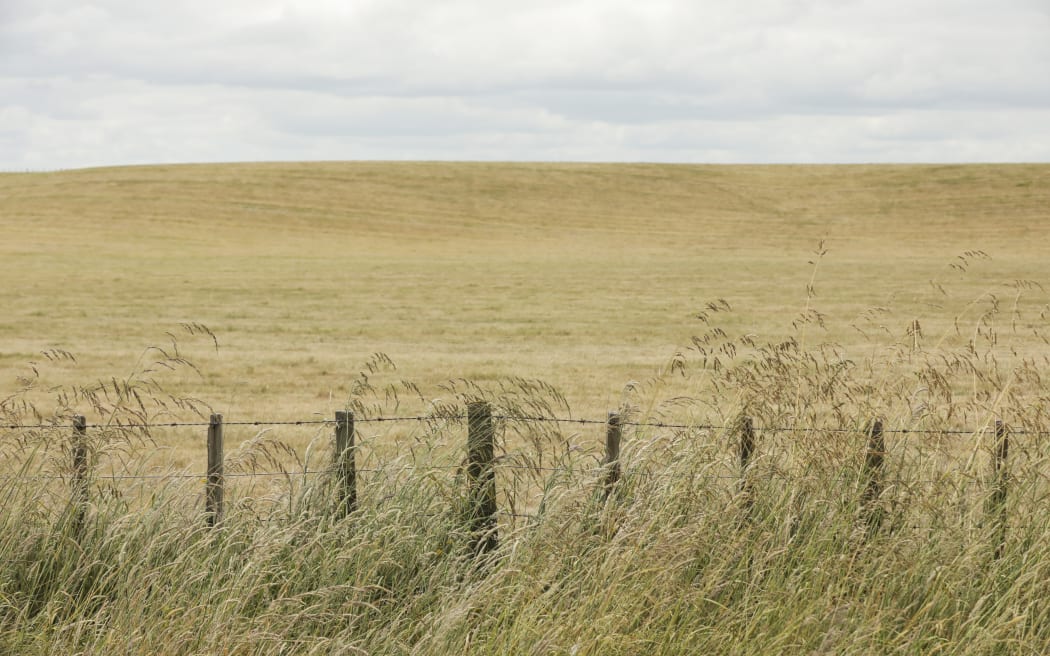 Dry land