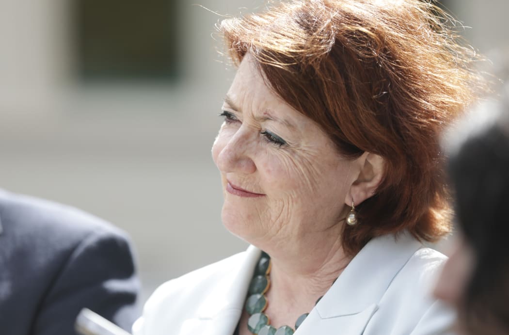 National MP Maggie Barry supports National MP Amy Adams as she announces she will stand for National Party leader.