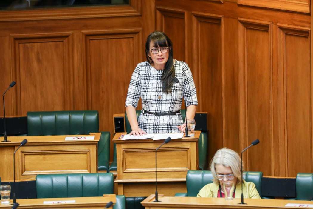 Labour MP Marja Lubeck speaks on a debate into student accommodation as chair of the Education and Workforce Committee which led the inquiry