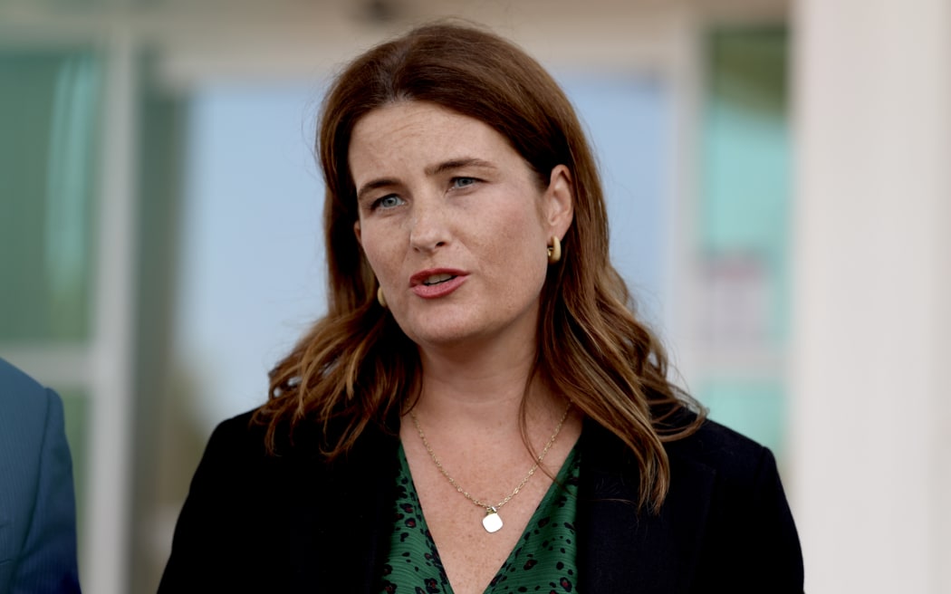Economic Growth Minister Nicola Willis speaking to media on 31 January, 2025.