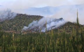 Waipoua fire