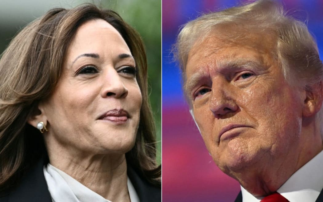 US election: Has Kamala Harris got what it takes to beat Trump? | RNZ News