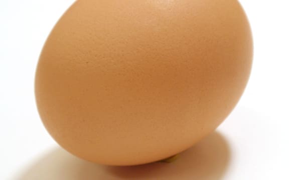 single egg