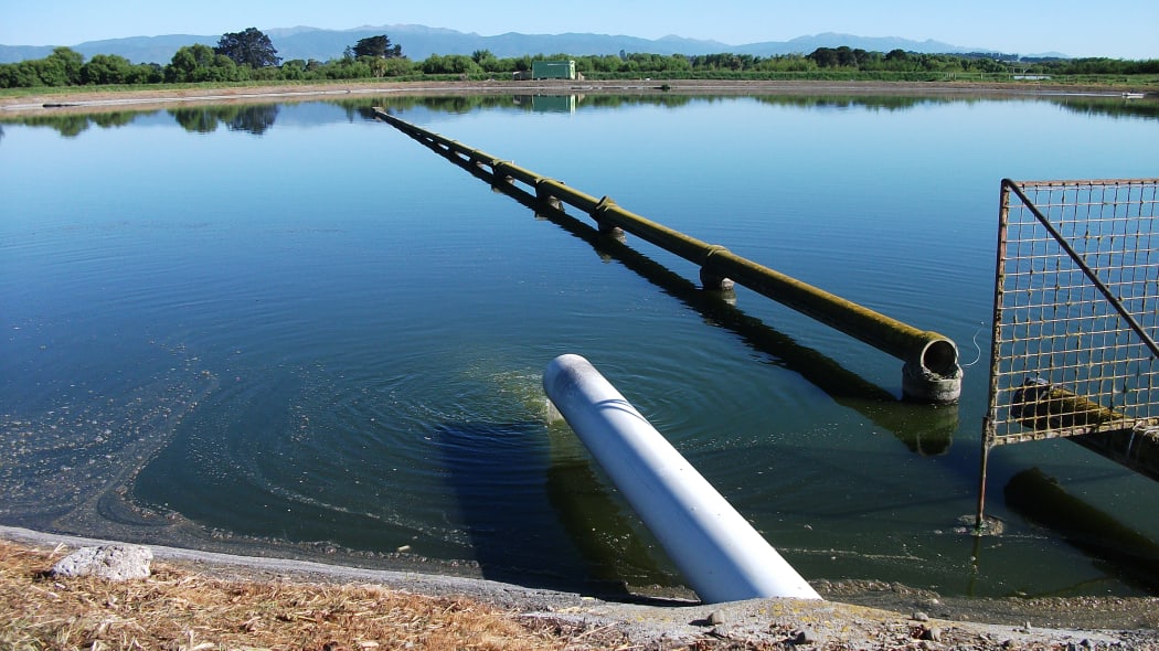 A water treatment pond in South Wairarapa