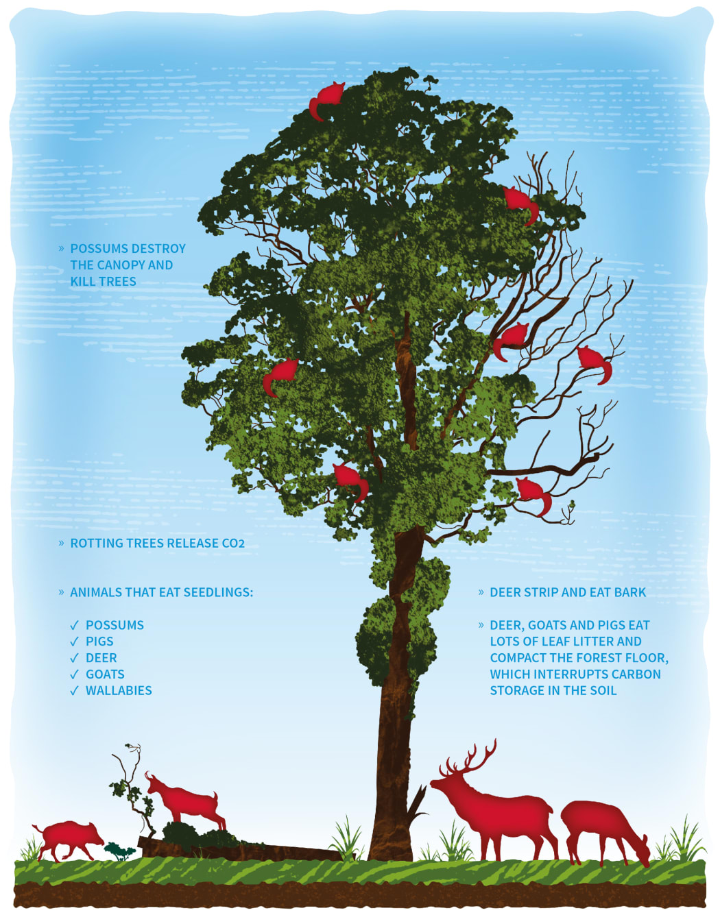 Infographic (c)  Dee A. Bolland, Naissant Ltd