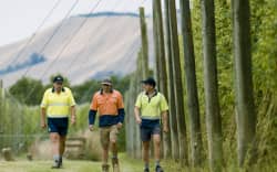 Colin Oldham, a third-generation hop farmer in Motueka, with his two sons Tom (middle) and Hayden (left).