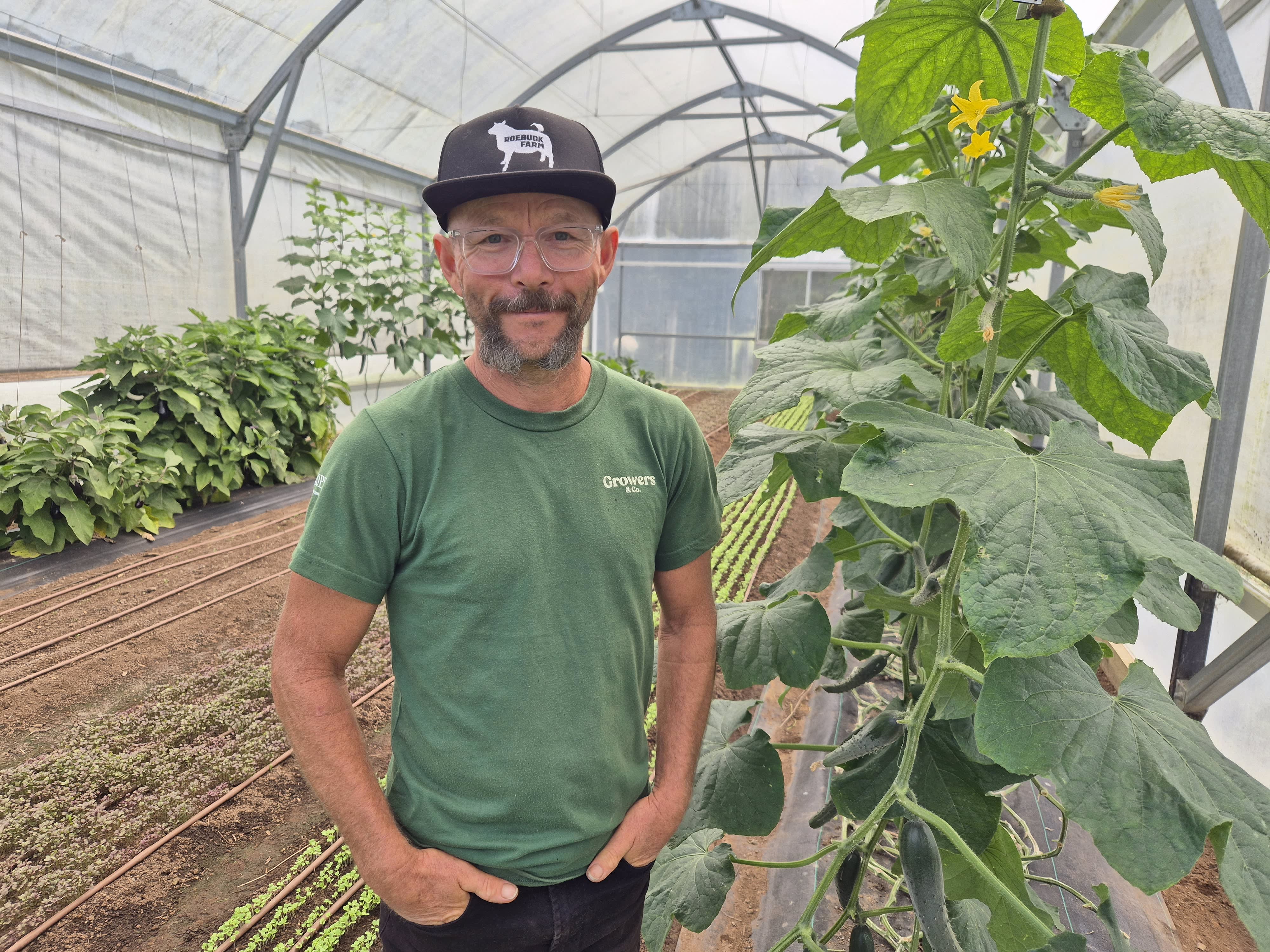 How to nail healthy compost | RNZ