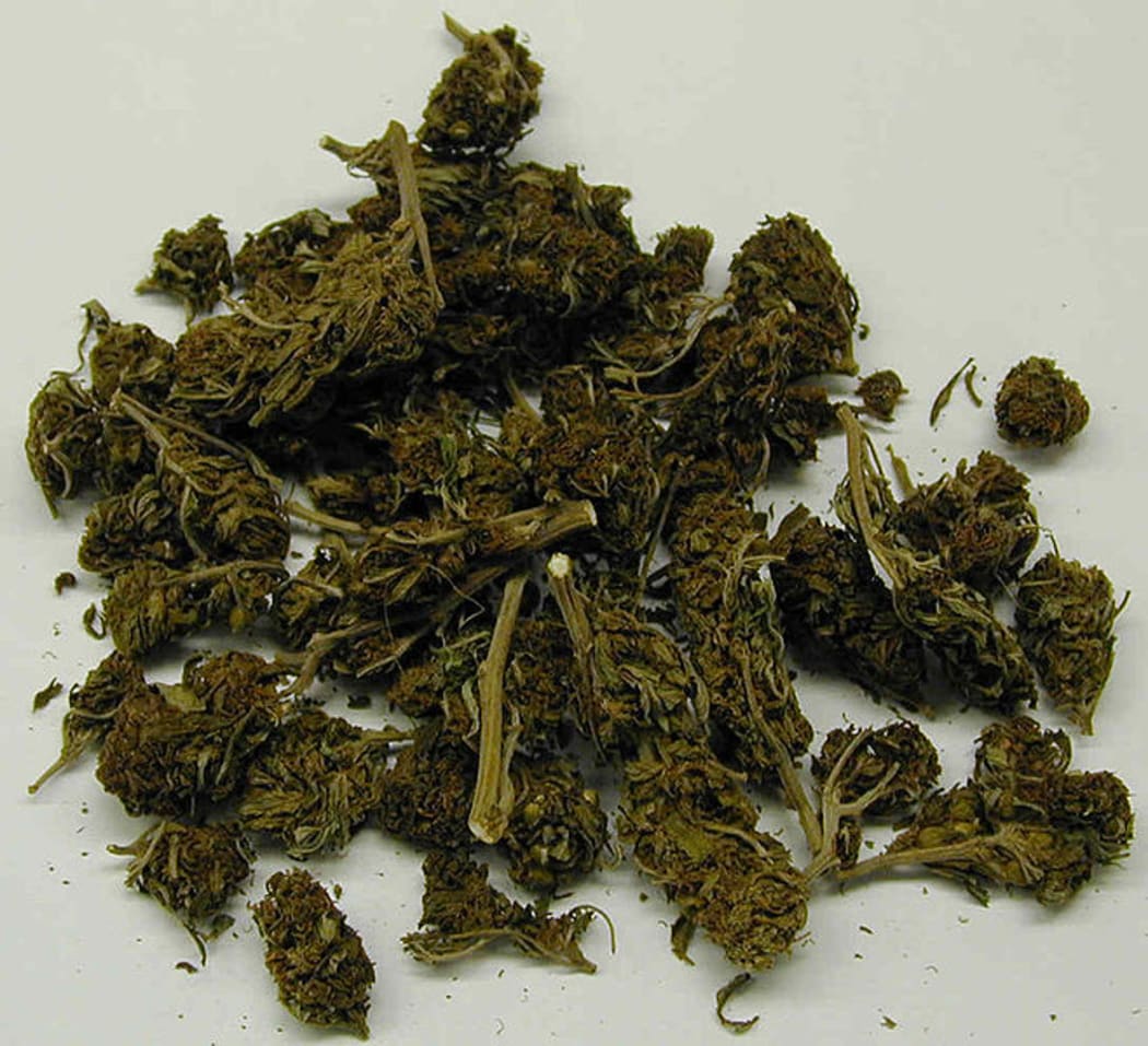 The findings of one study suggest that about 80 percent of young people will have used cannabis on at least one occasion by the time they turn 21.