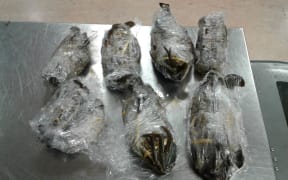 The crabs had been bought in a market in Samoa and the passenger declared them on arrival at Auckland Airport.