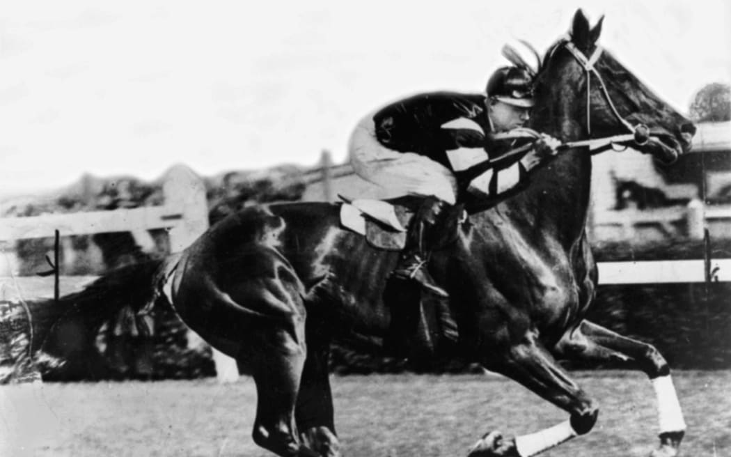 An undated handout photo of legend racehorse Phar Lap.
