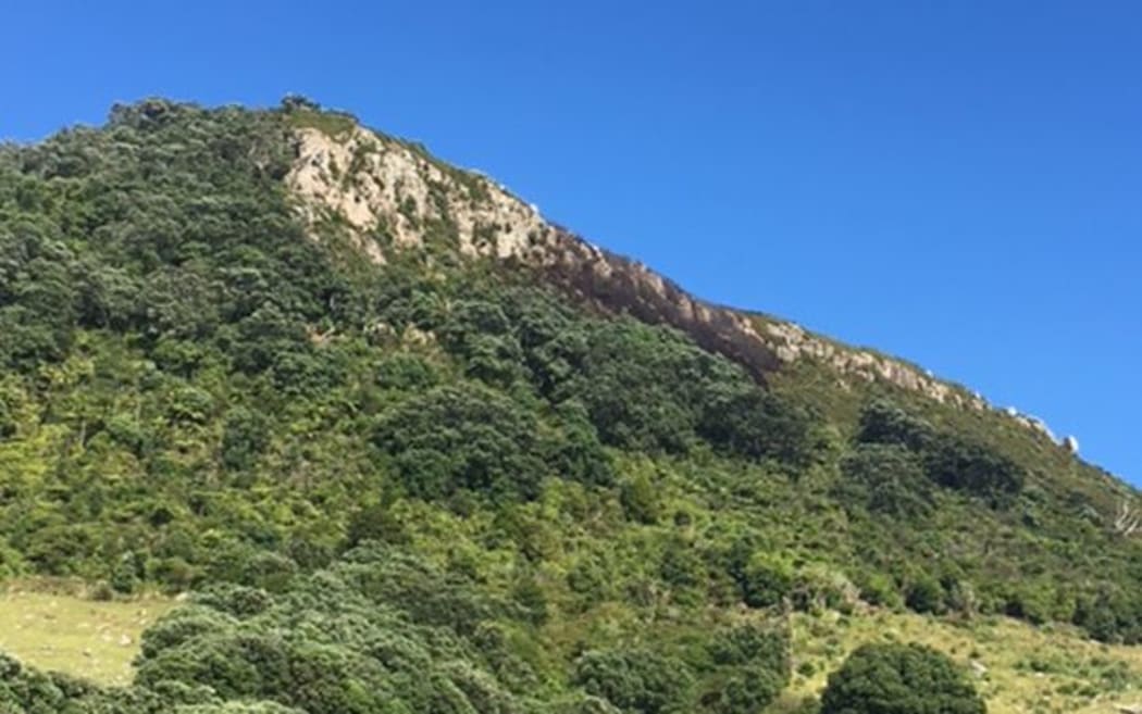 The side of Mount Maunganui burned in the fire.