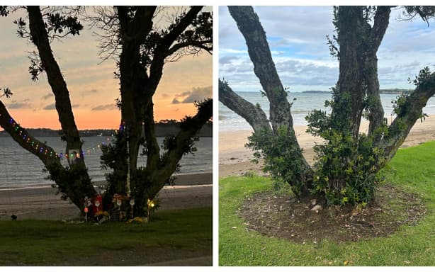 The tree at Arkles Bay which has become a temporary memorial for Tyler Porter, before and after items were allegedly taken.