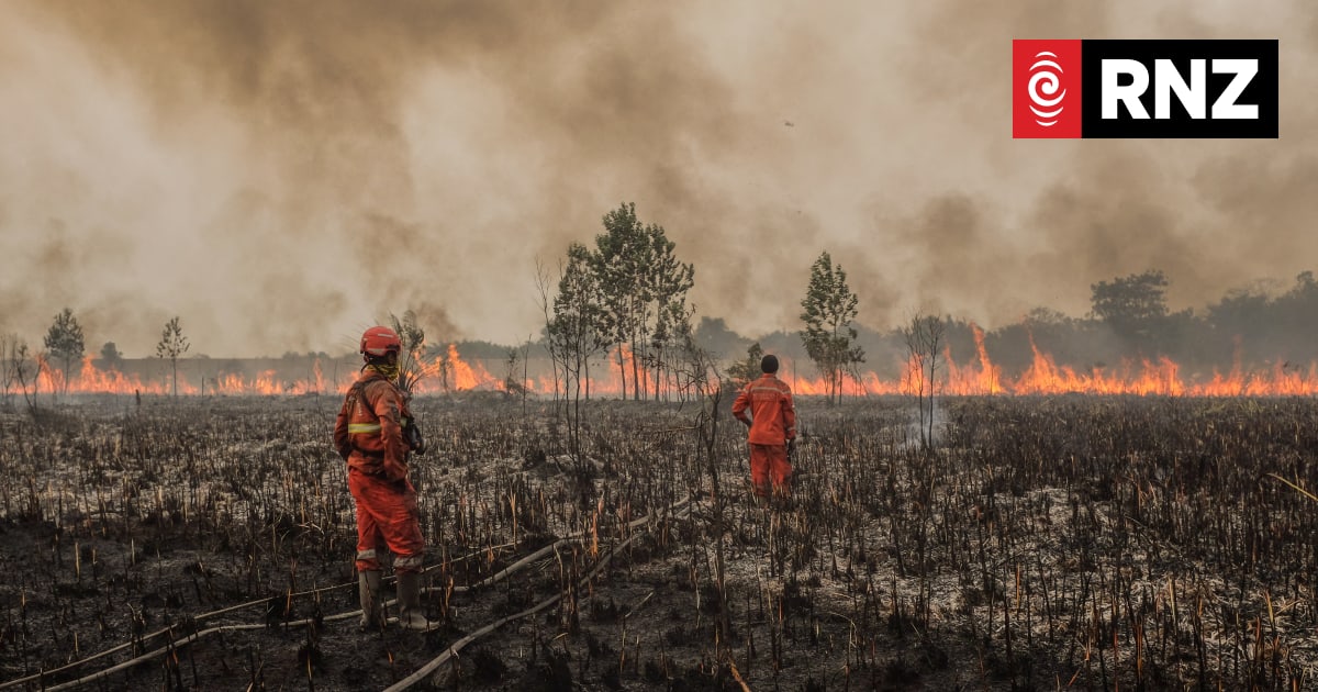 Climate: Report predicts El Niño death toll of almost half a million