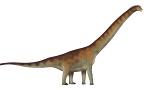 Artist's impression of Dasosaurus.