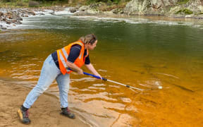 Council staff collecting samples of the river that has been contaminated by an orange substance.