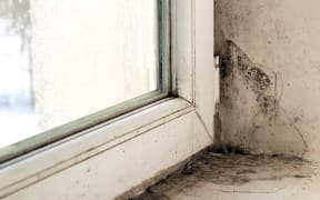 Damp and mold on window and frame.