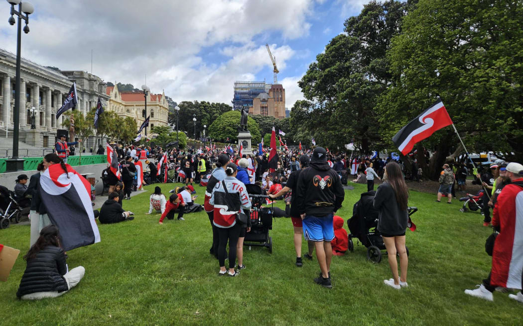 Hikoi in welly