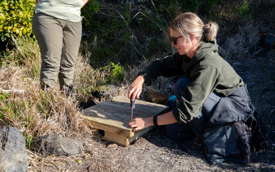 Auckland Council park ranger Miranda Bennett