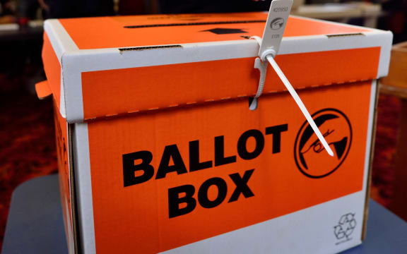 A man casts his vote in the 2014 General Election (file photo)