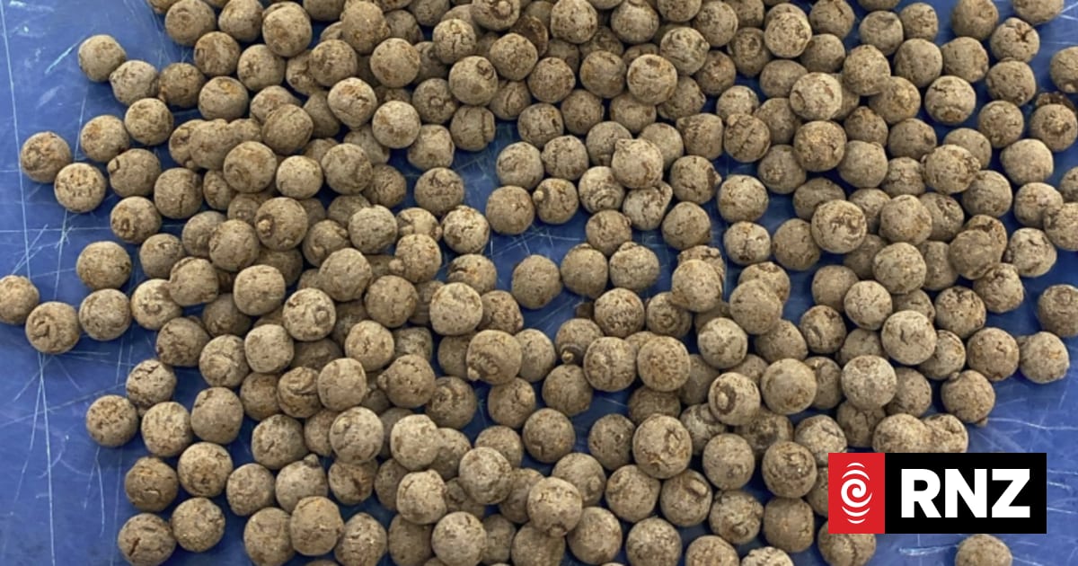 A pile of small, brown spherical objects on a blue background.