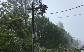 Trees down near powerlines in Northland