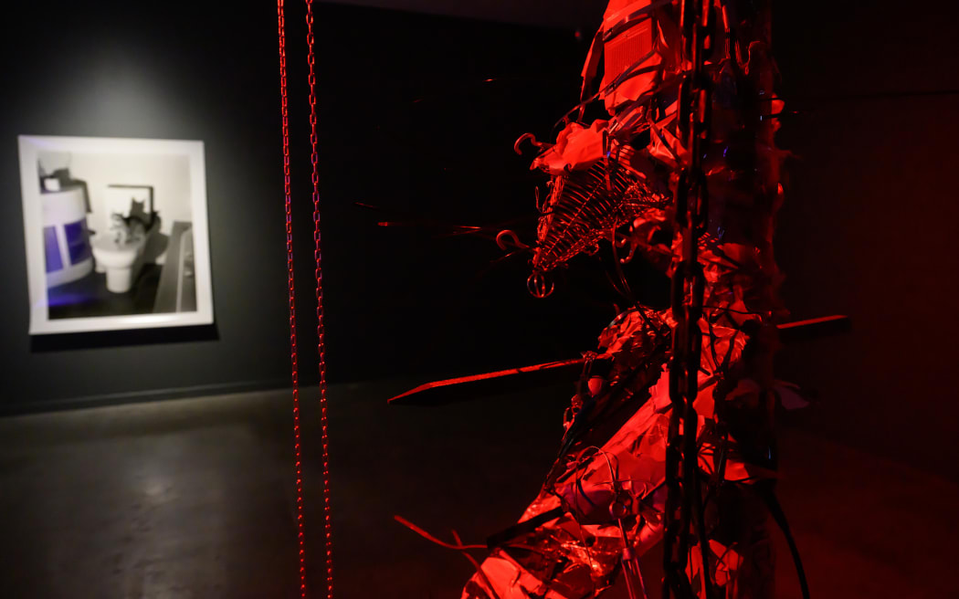 LOWER HUTT, NEW ZEALAND - February 14: Dowse Art Museum: The Brood (exhibition and opening) February 14, 2025 in Lower Hutt, New Zealand.