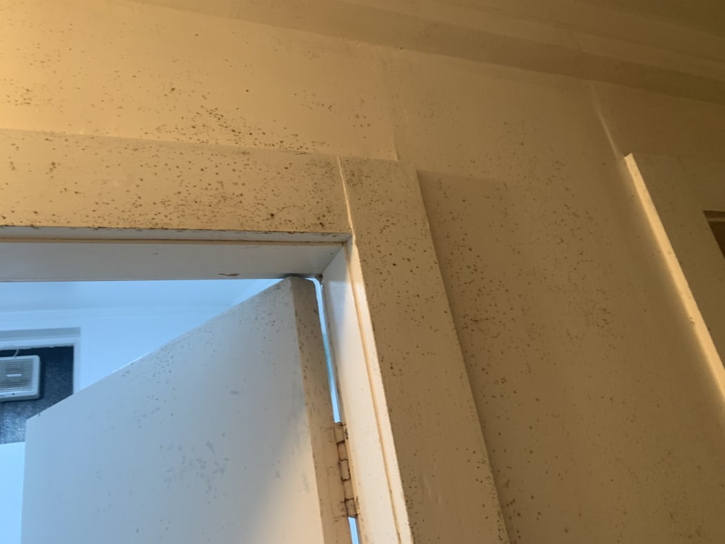 Mould covers the walls and ceilings of home on Wellington's Mt Victoria currently advertised to be rented out for $1200 per week.