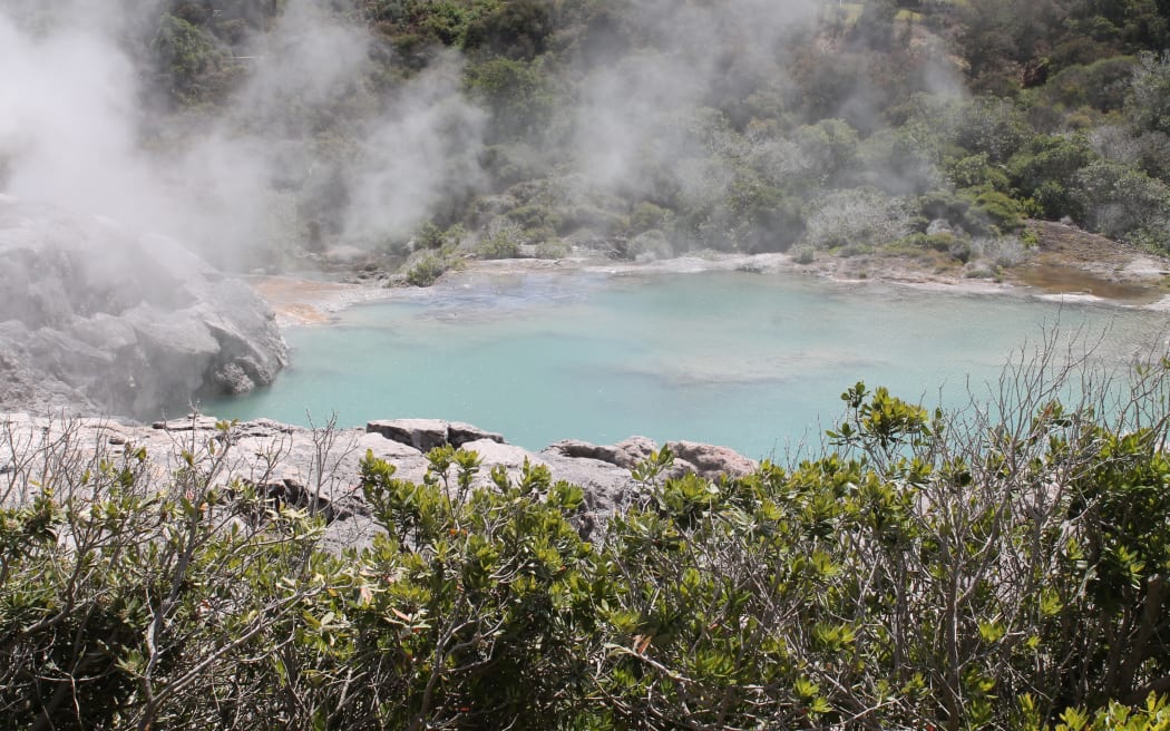 Te Puia, Whakarewarewa thermal valley