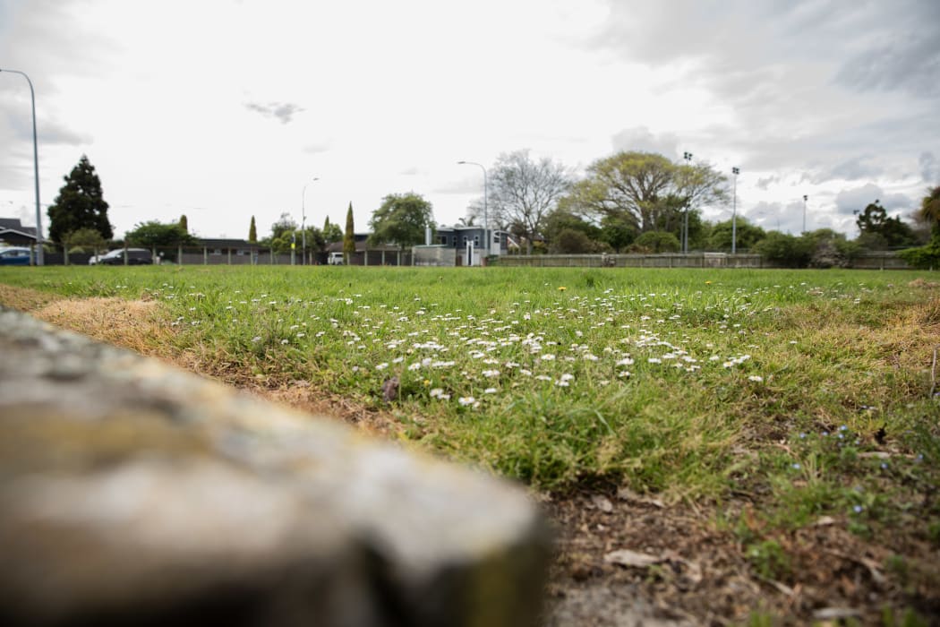 Palmerston North City Council wants to build houses on unused bowling greens, but does not have universal support