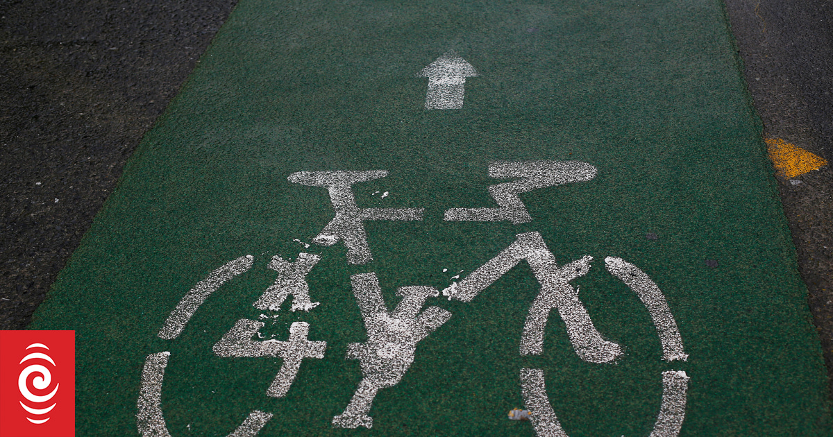 Plans for permanent cycleway in Wellington suburb on hold - Vimarsana News