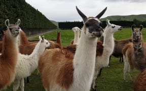 ¿Cómo se llama?