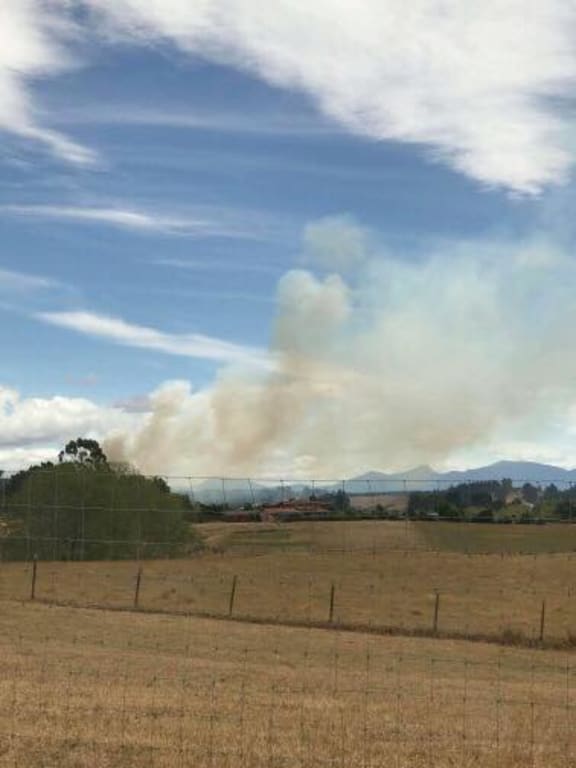 New fire has broken out in Nelson.
