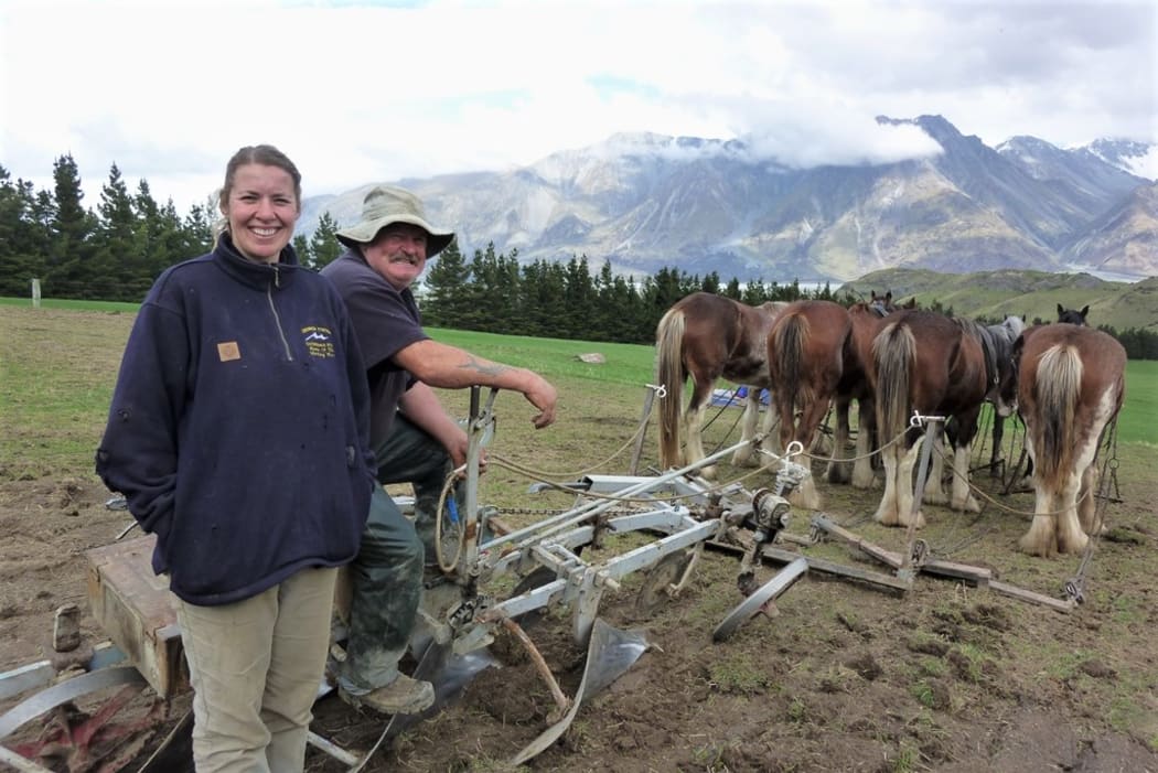 Working horses at Erewhon Station