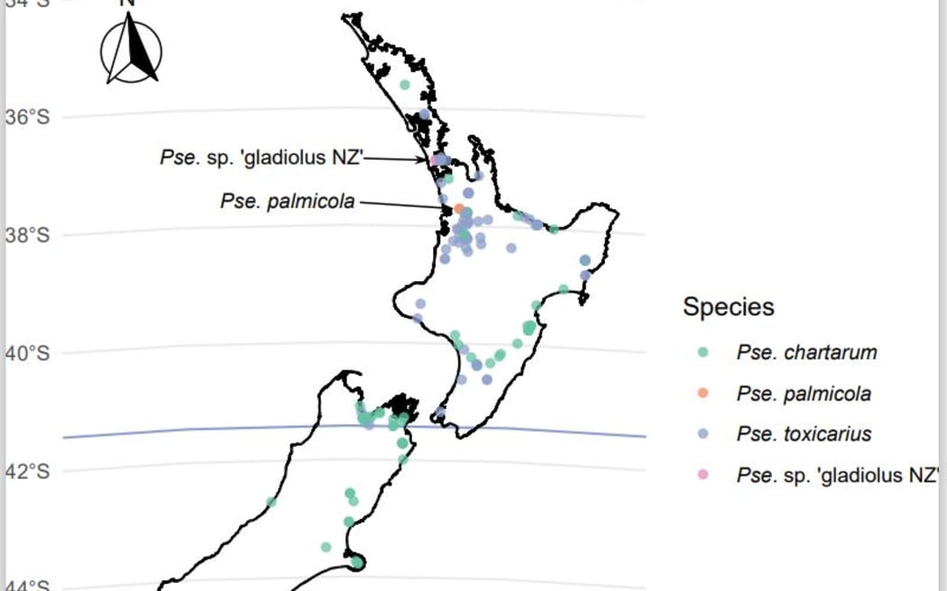 Presence of the fungal species that produce sporidesmin, the toxin, that leads to facial eczema in livestock, across New Zealand.