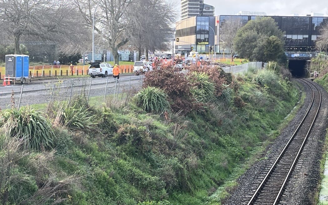 The bank under Bryce St that is at risk of collapsing on the rail corridor below.