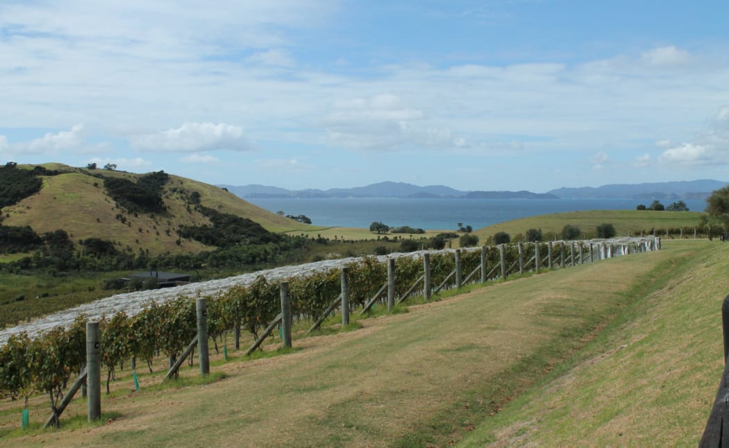 The Landing, Bay of Islands