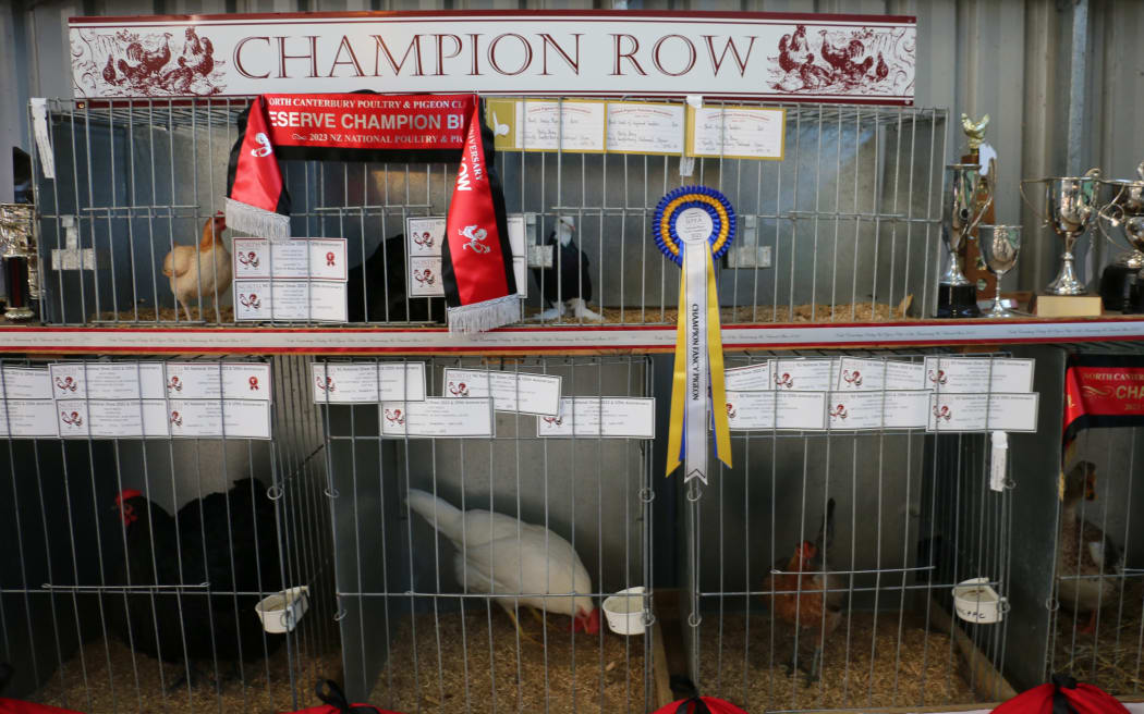 The National Poultry and Pigeon Show