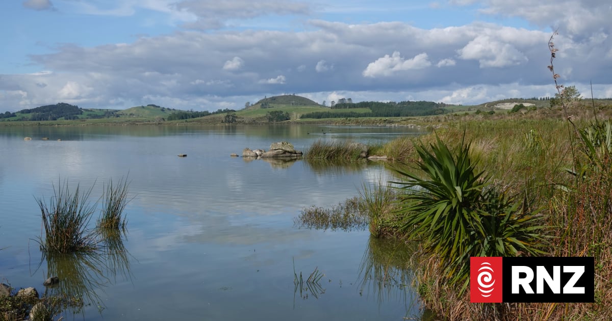 Polluted Lake Ōmāpere should be returned to health within next 10 years