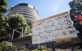 Parliament Protest