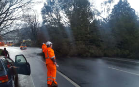 Strong winds have toppled a tree onto the road at The Gardens Corner, Dunedin.